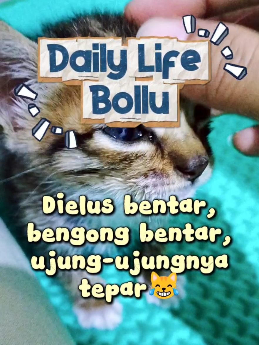 @Bollu