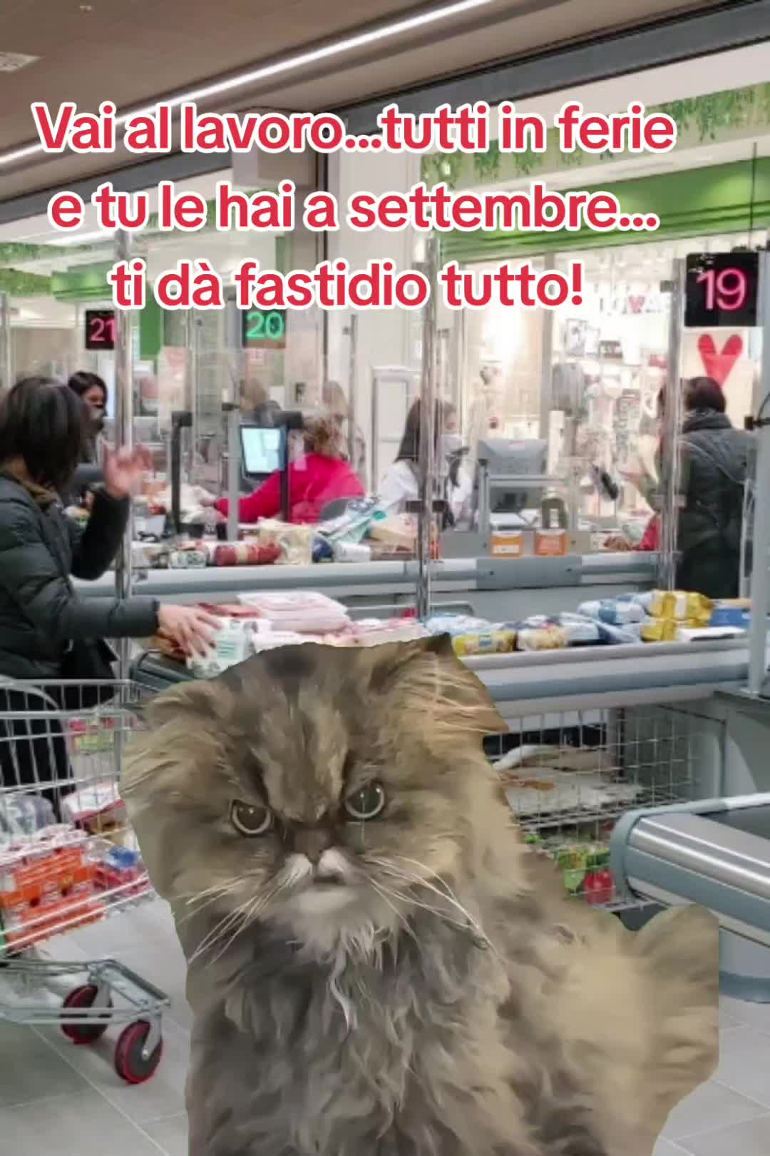 @jessica