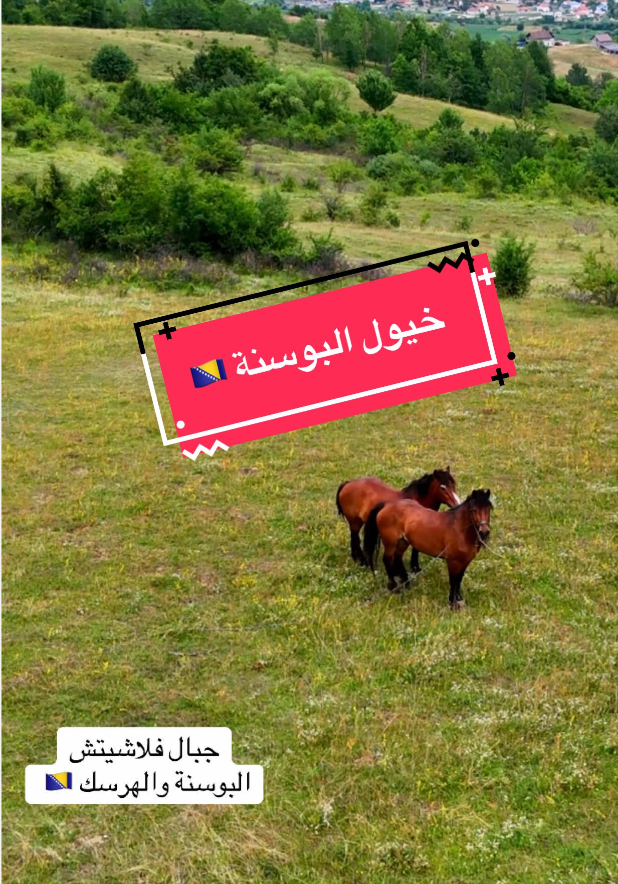 @بدر الخثعمي ( رحال ✈️ )