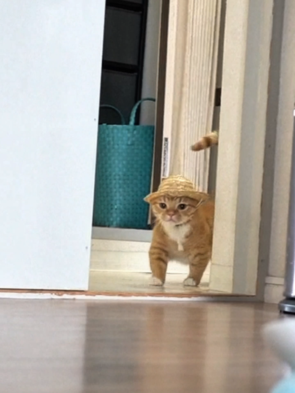 @銀太