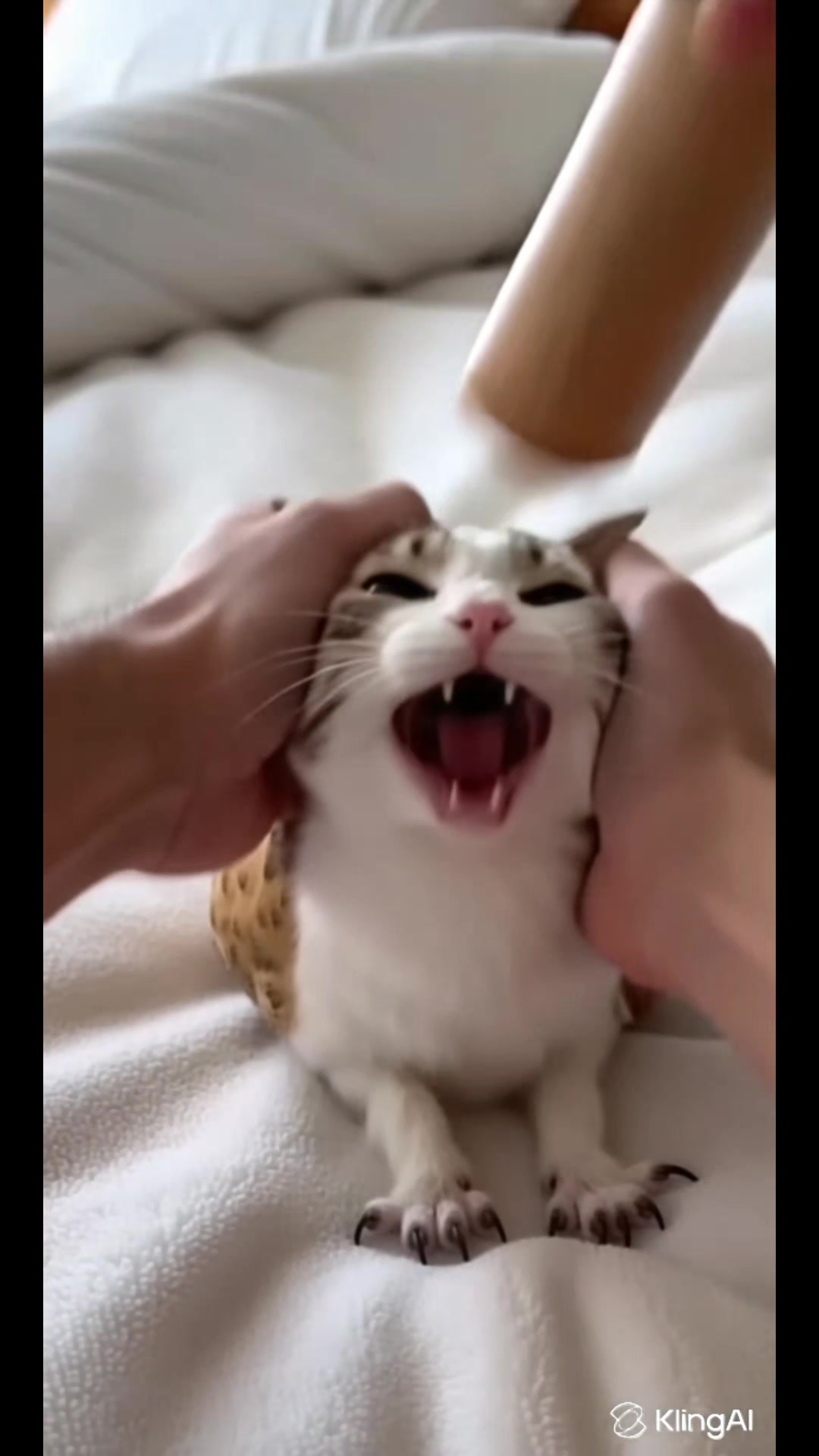 @TheRealMeowl