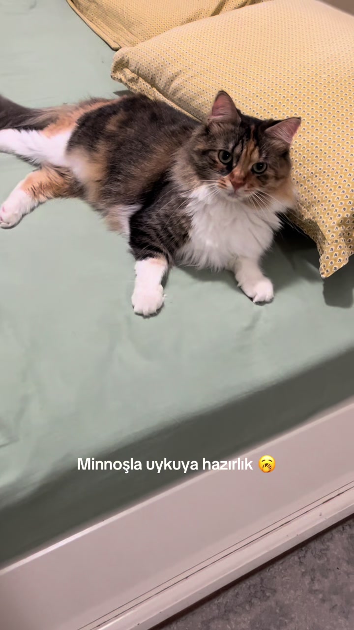 @konusankediminnos
