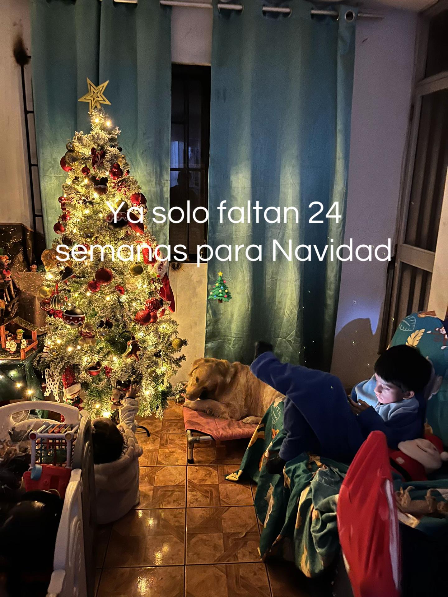 @Yare | mam&aacute; azul