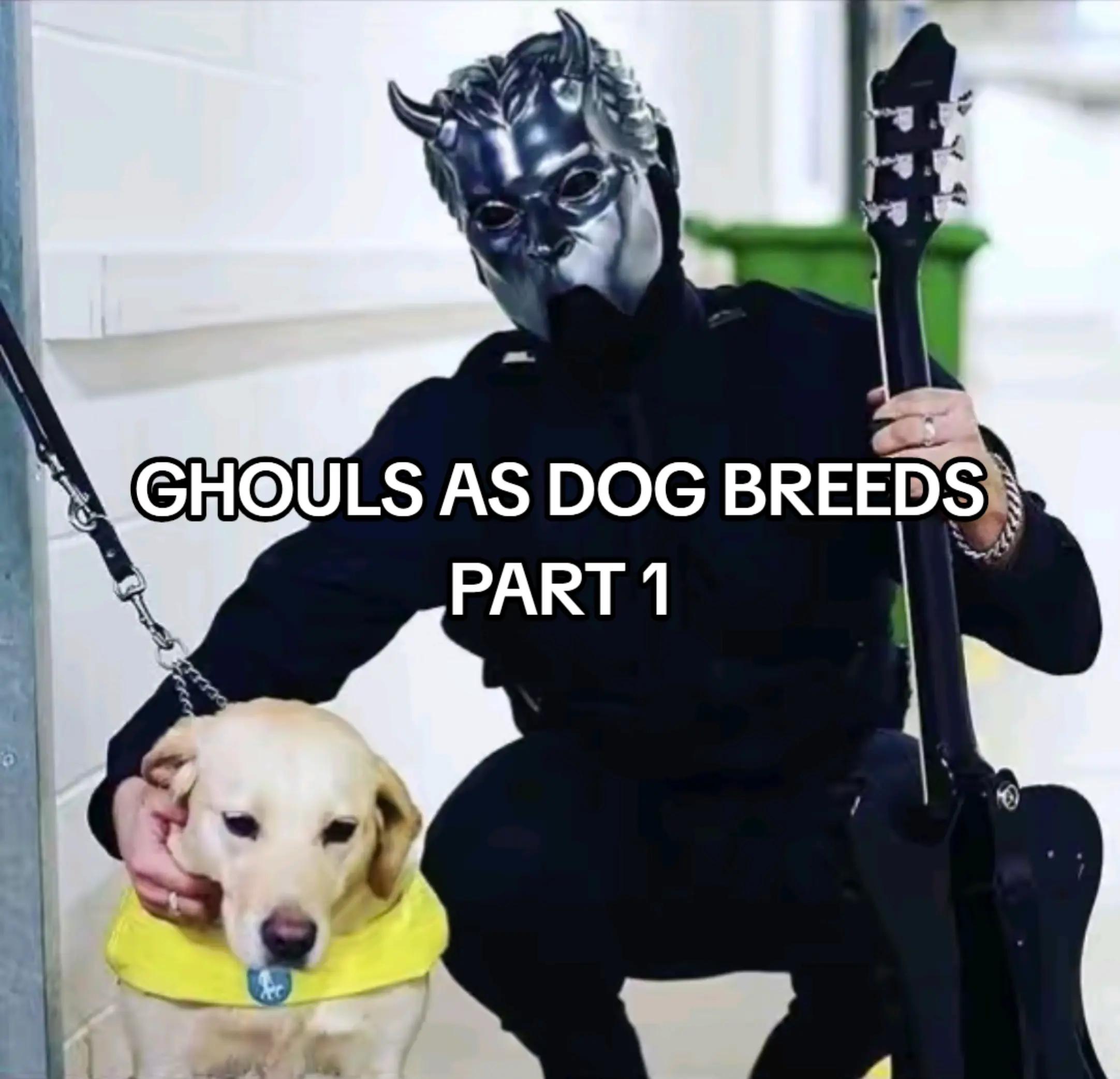 @shadow 🦇