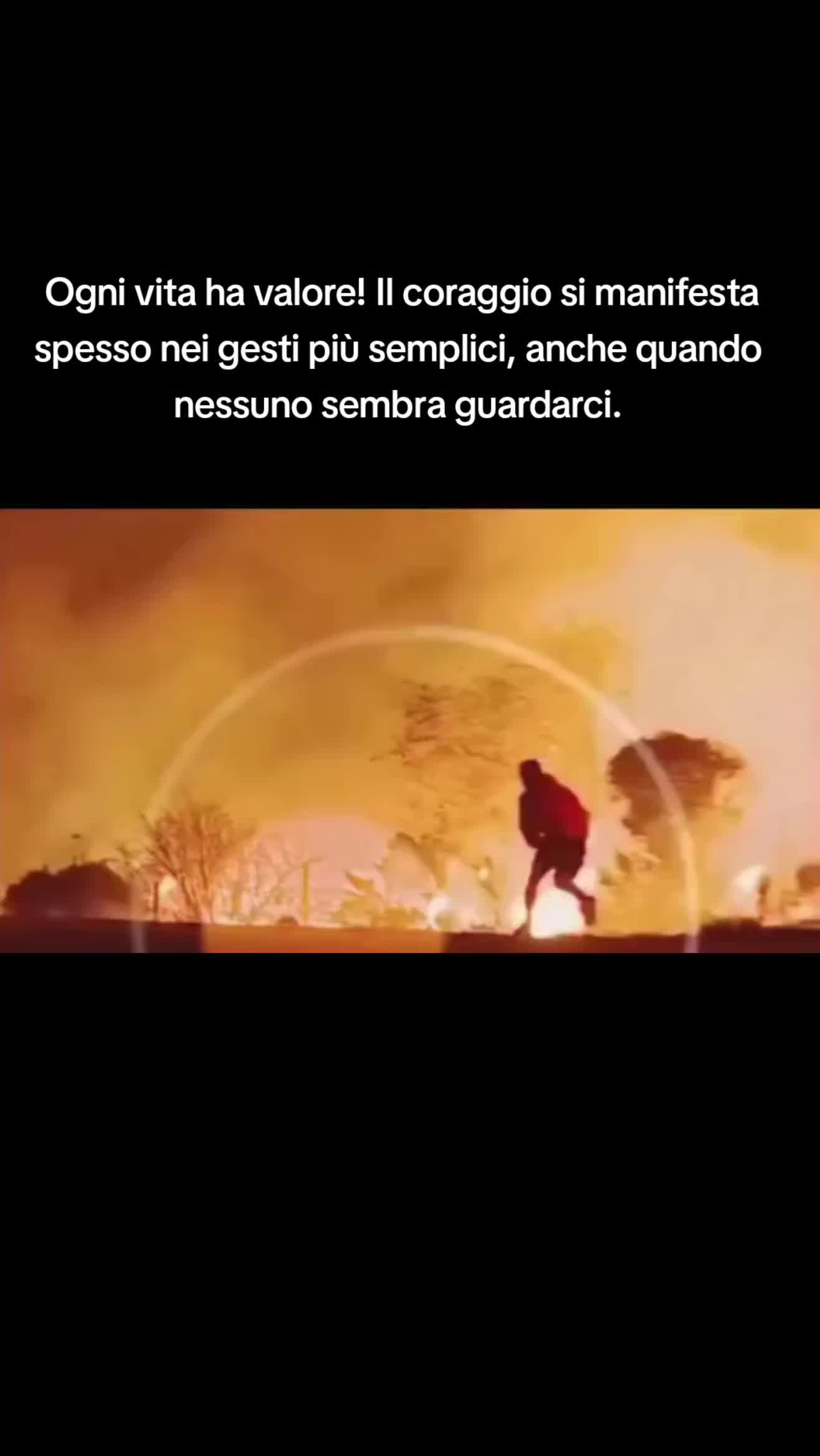 @cuore.animale