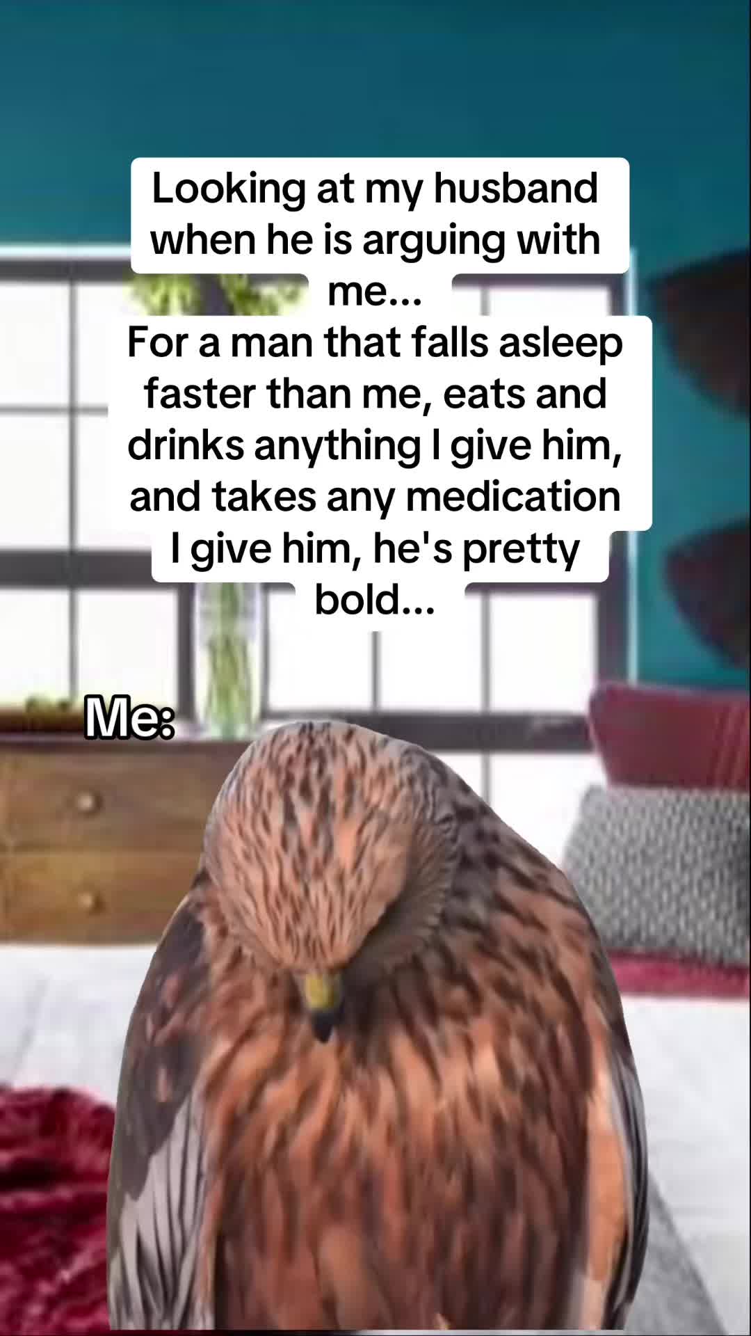 @kalico386