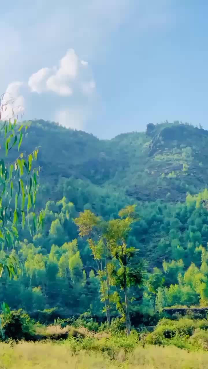@Sᴀᴅᴀʀ Sᴀɪʙ Bʀᴀɴᴅ 🍁
