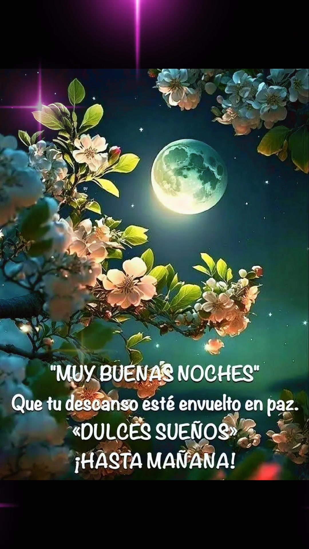 @Dulce Lopez2649