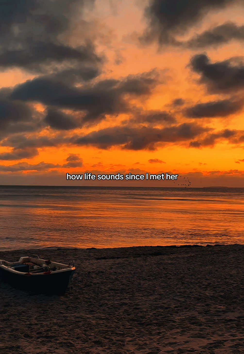 @Luca 🌅
