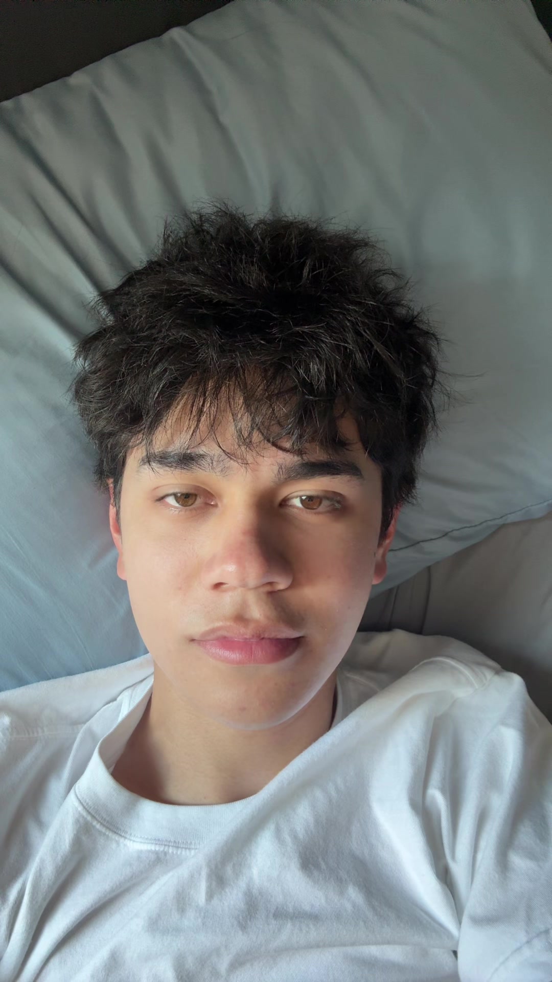 @Sir.Niche