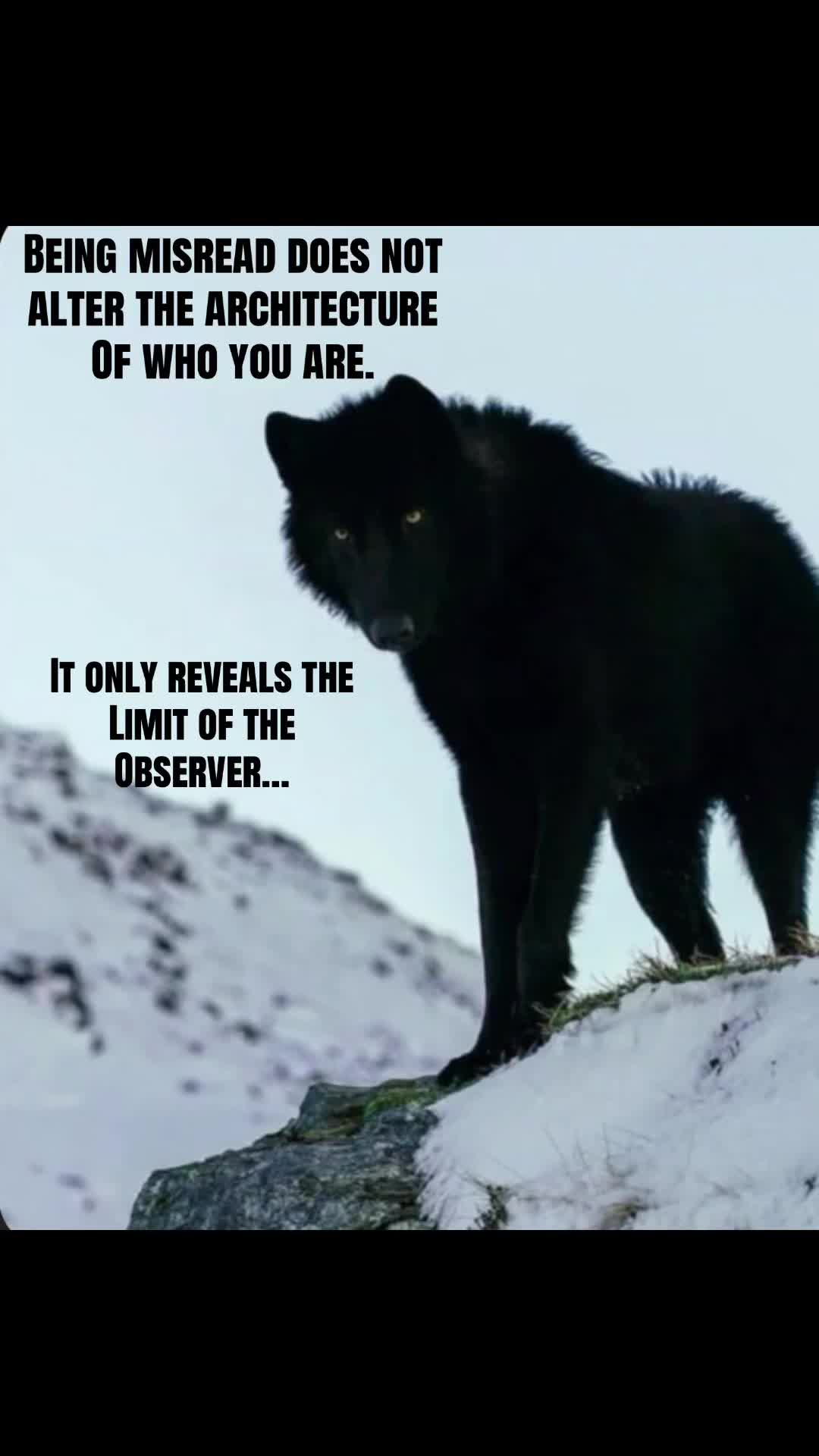 @🪬Conscious_LoneWolf🐺