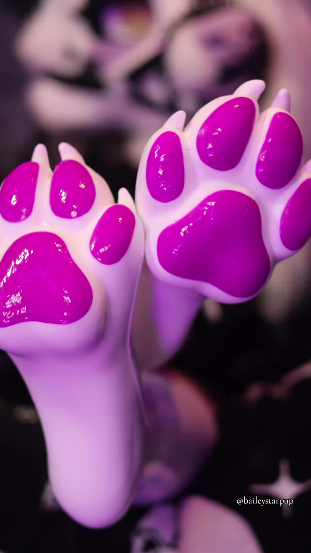 @Bailey (lilpixiekitten)
