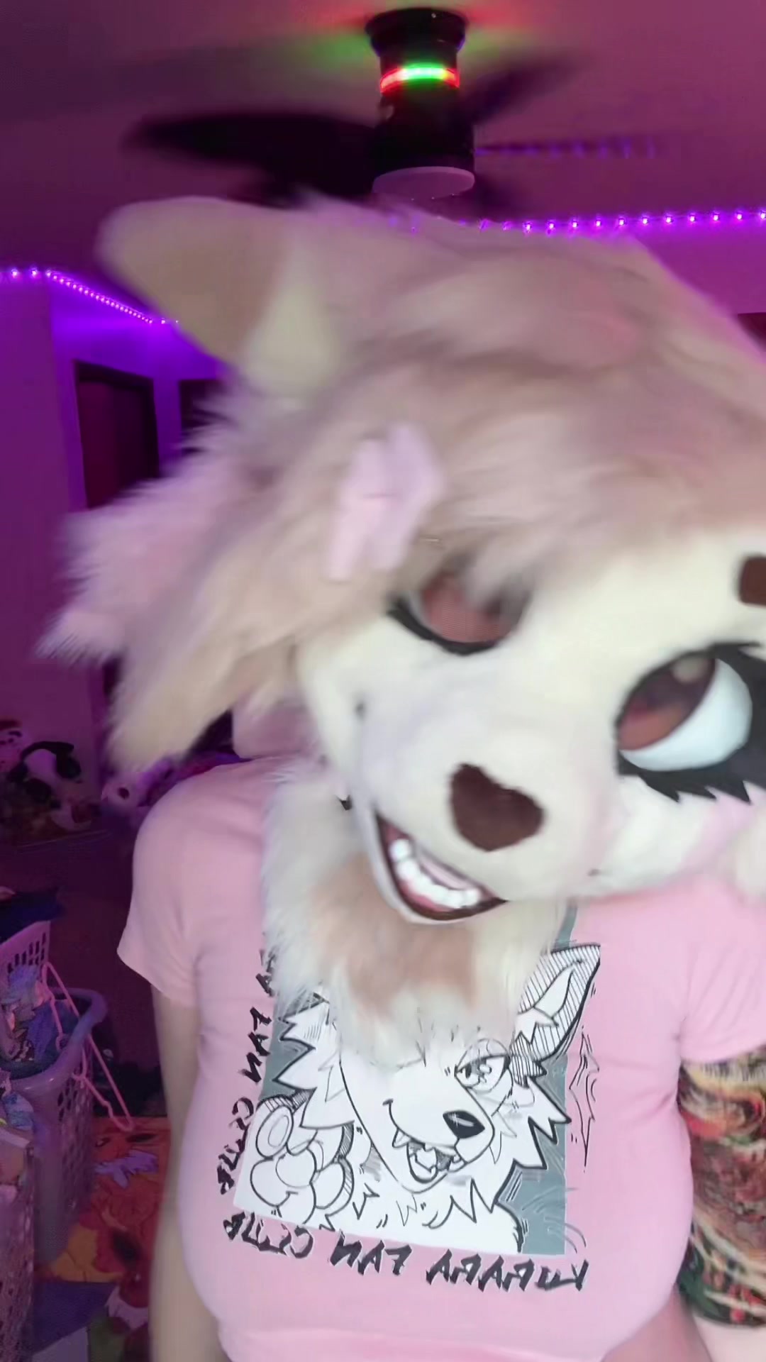 @🎀🦊Foxii🦊🎀