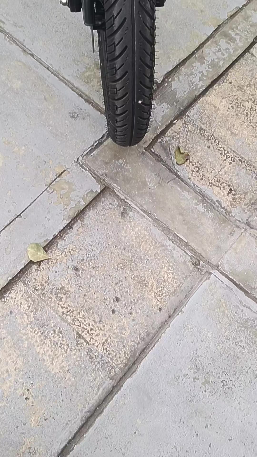 @Noguera carlos