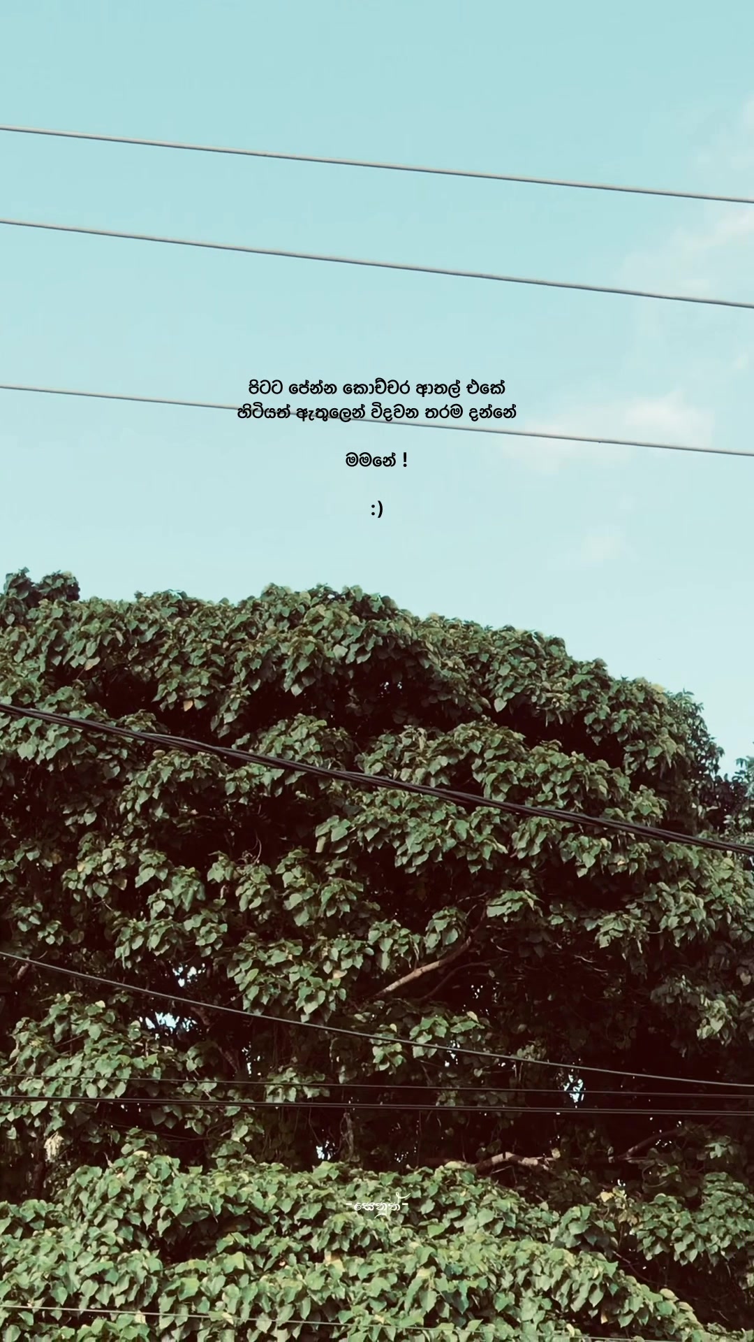 @𝐒𝐞𝐧𝐮𝐓𝐡 🧘 ! "