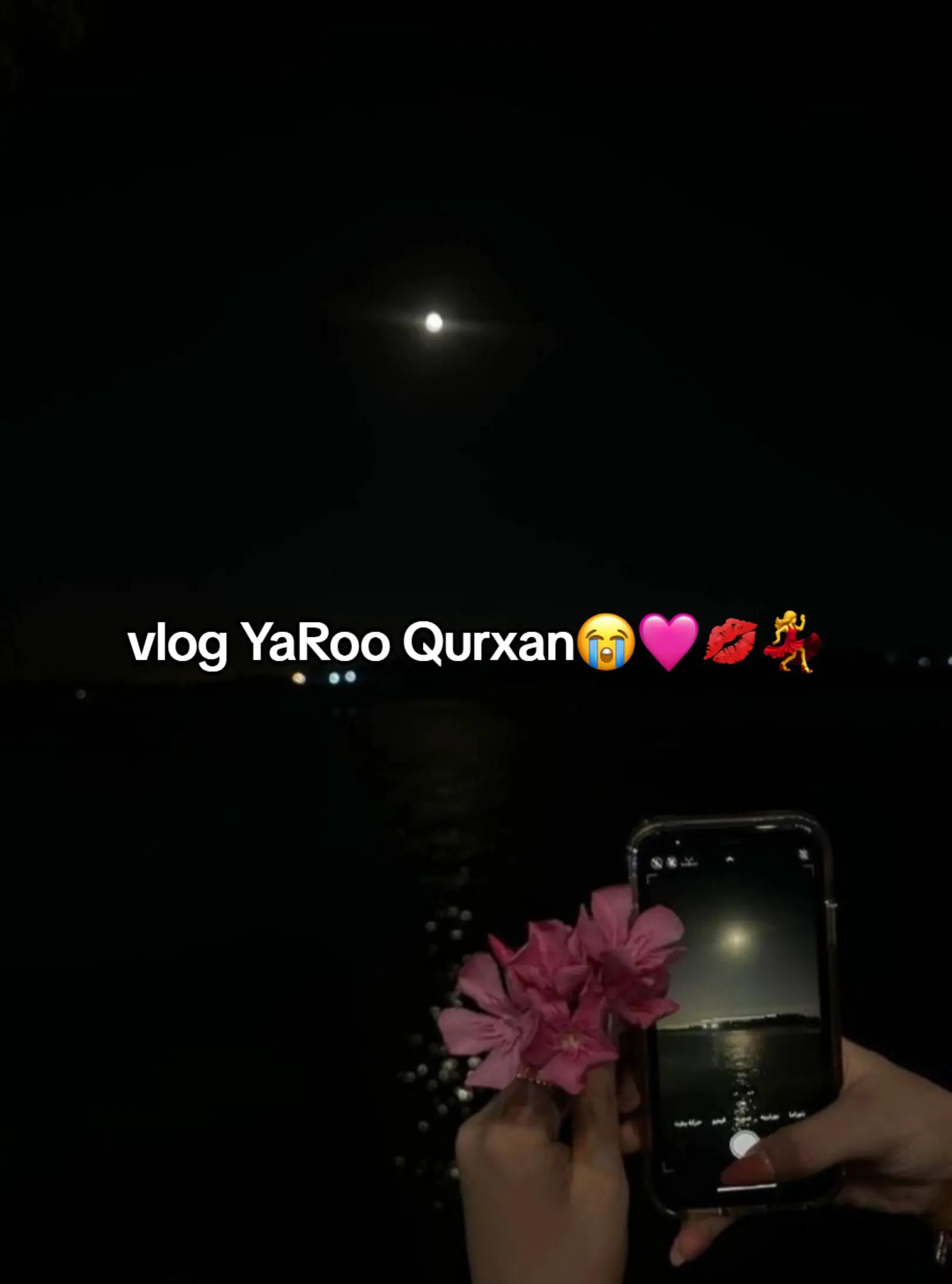 @AyaXee🐸🧝&zwj;♂️