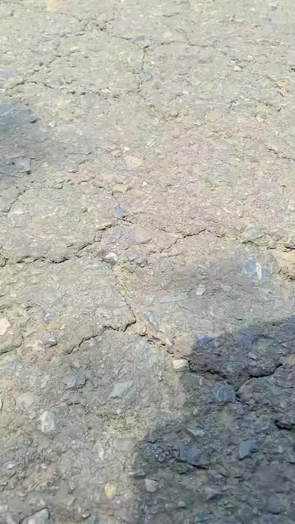 @🦋ŞARوAR🪽