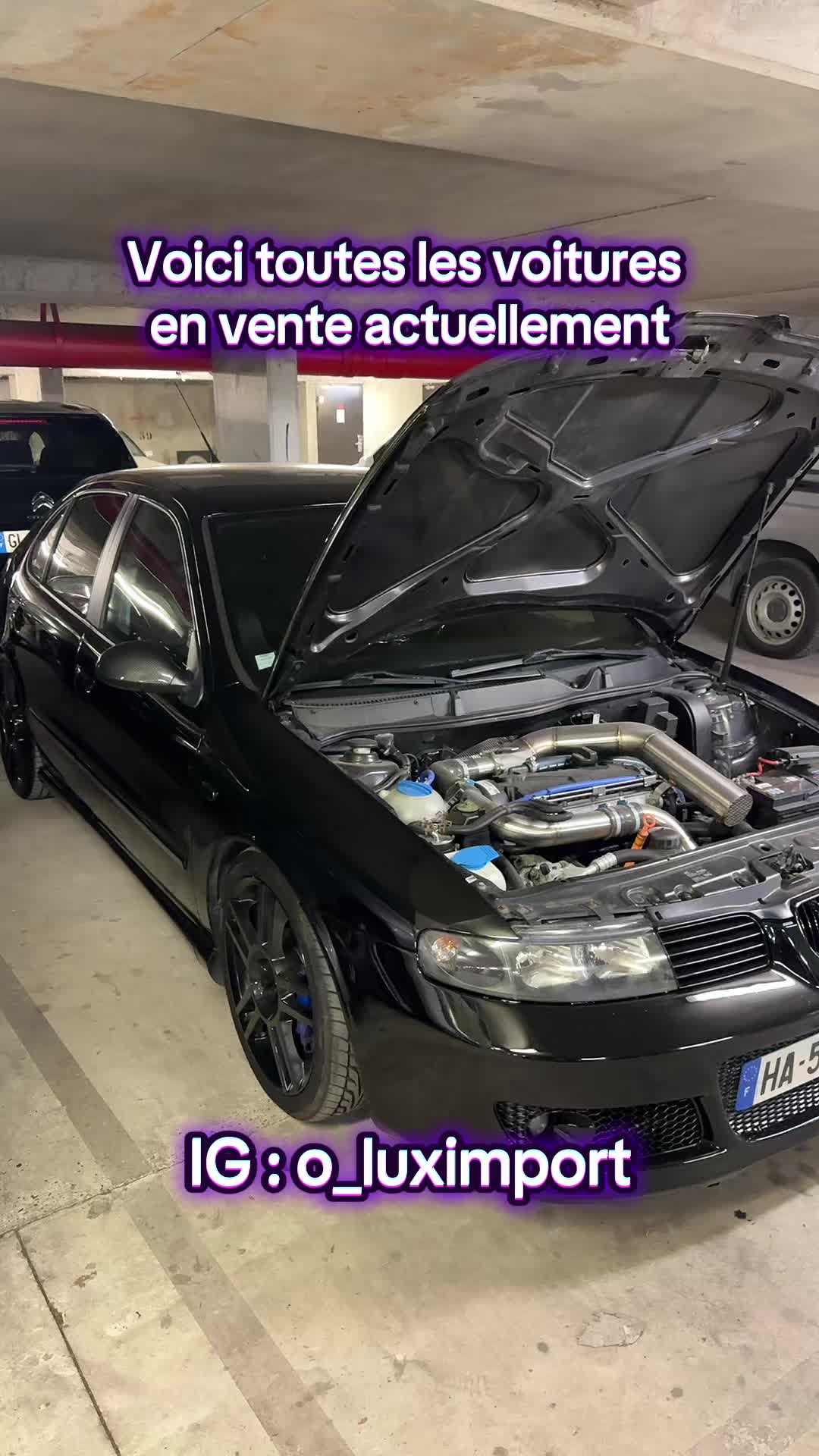 @O_luximport