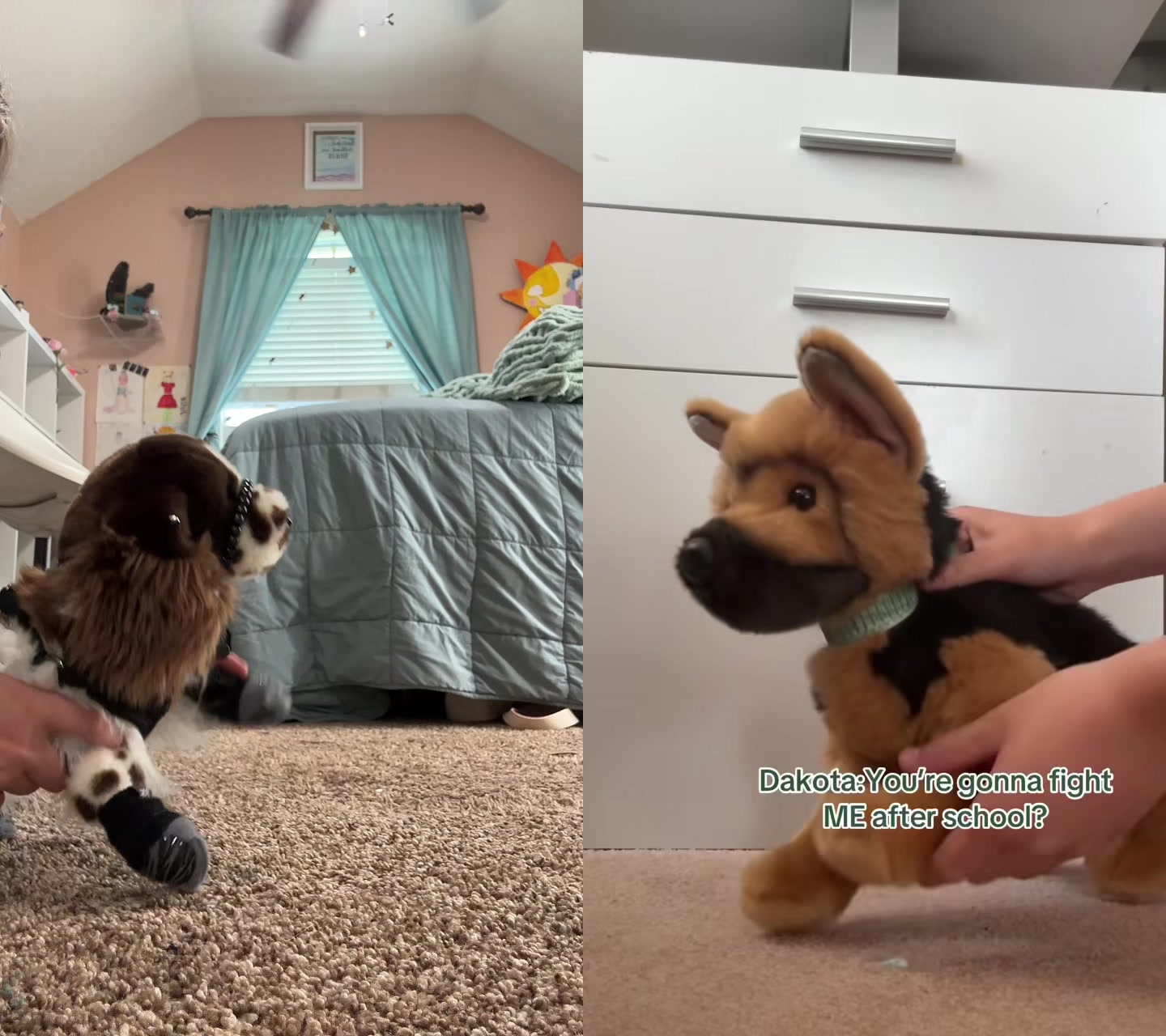@pupplace