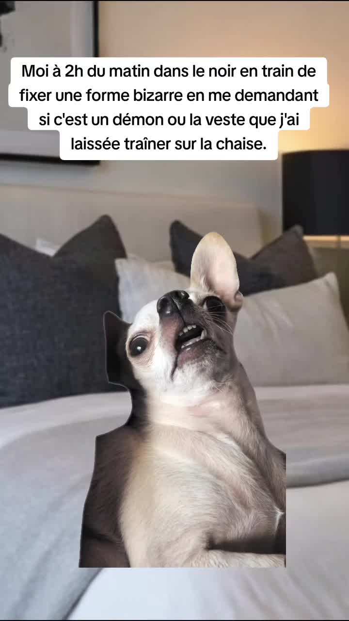 @🦋 Reine_M&egrave;re 🦋