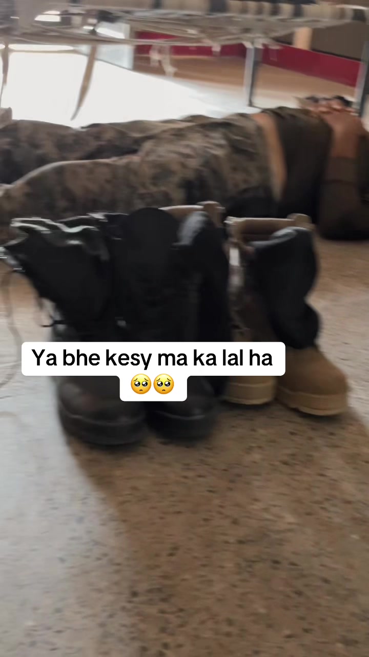 @Wolf 🐺 soldier