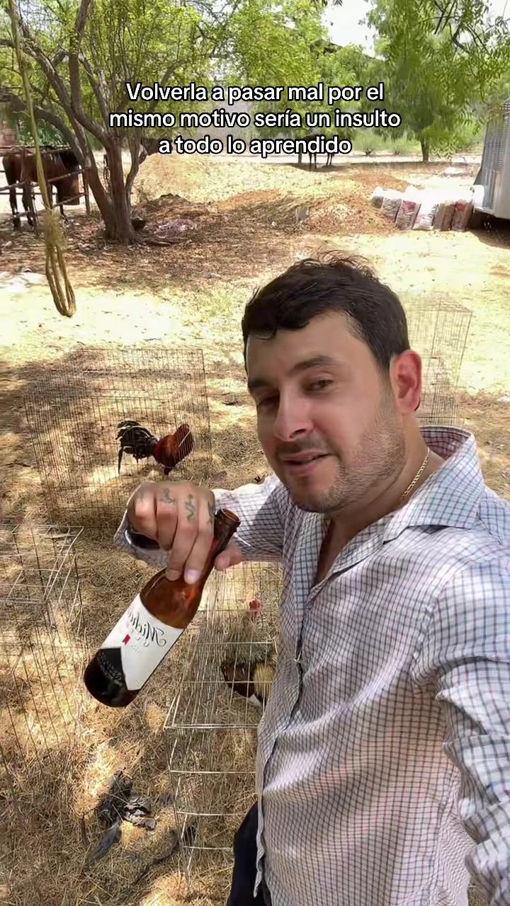 @Eljca11