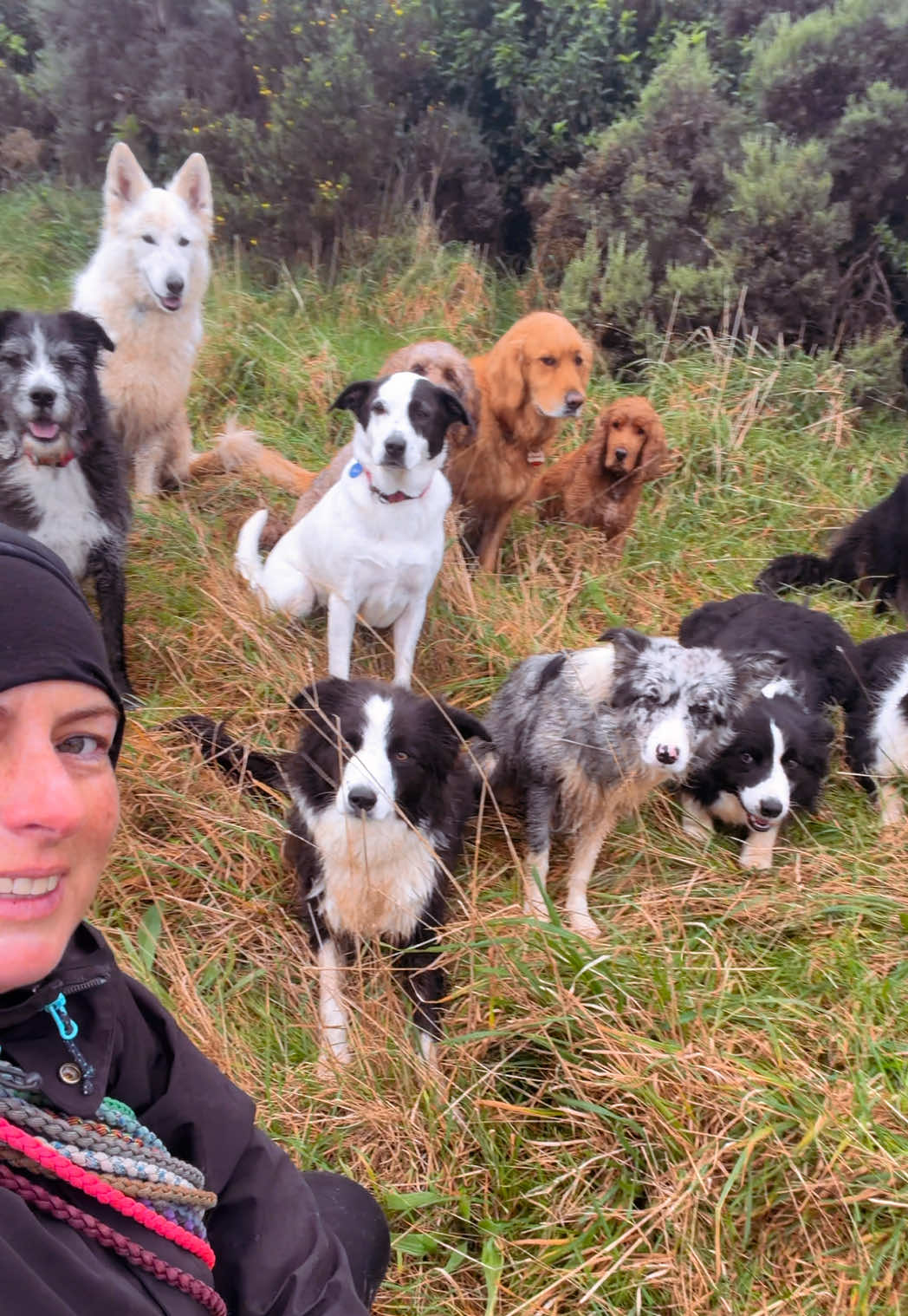 @Beks 🐺 Dog Handler 🇳🇿