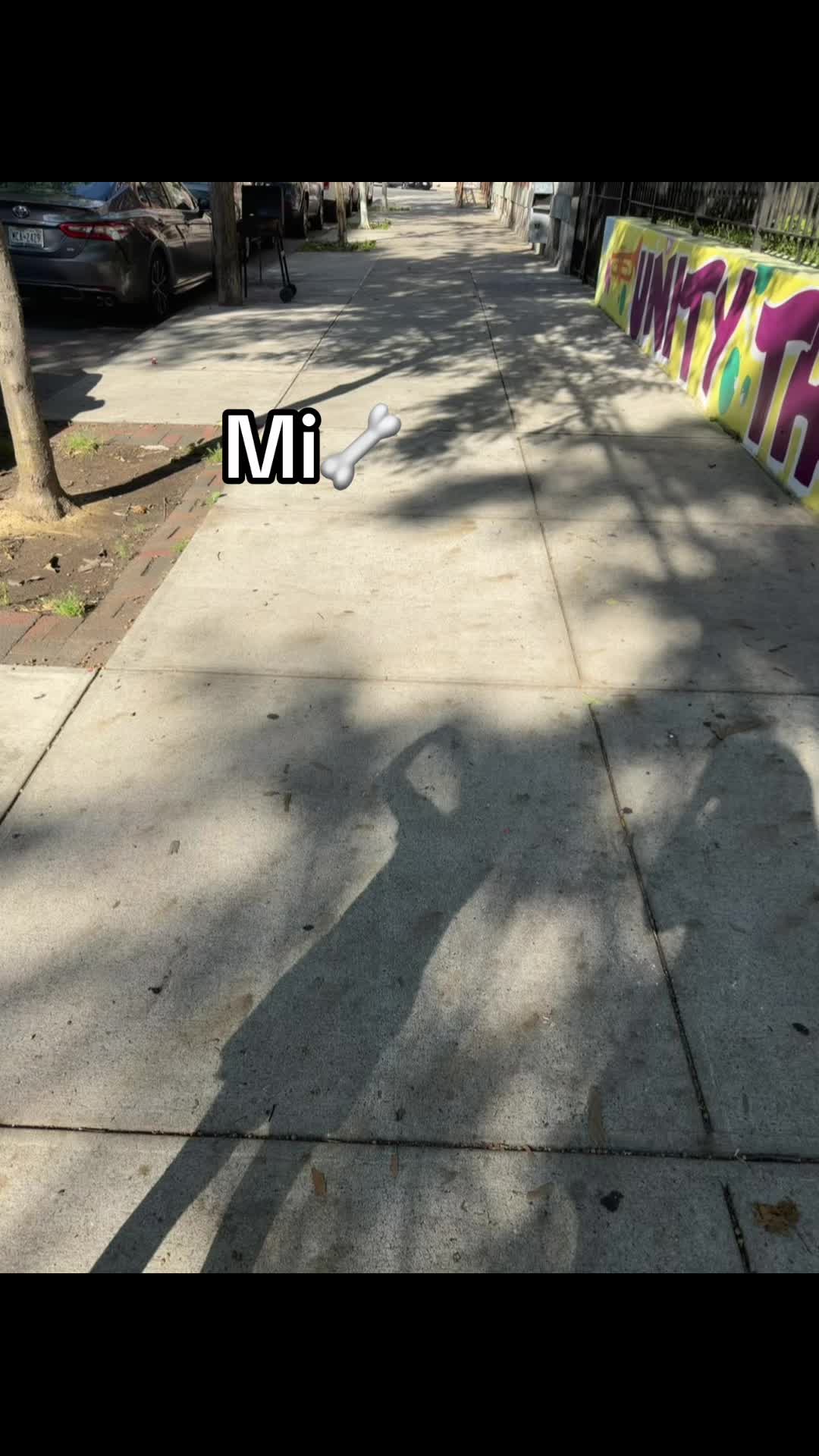 @🐛🦋❤️&zwj;🩹🤞🏼👑💋💄