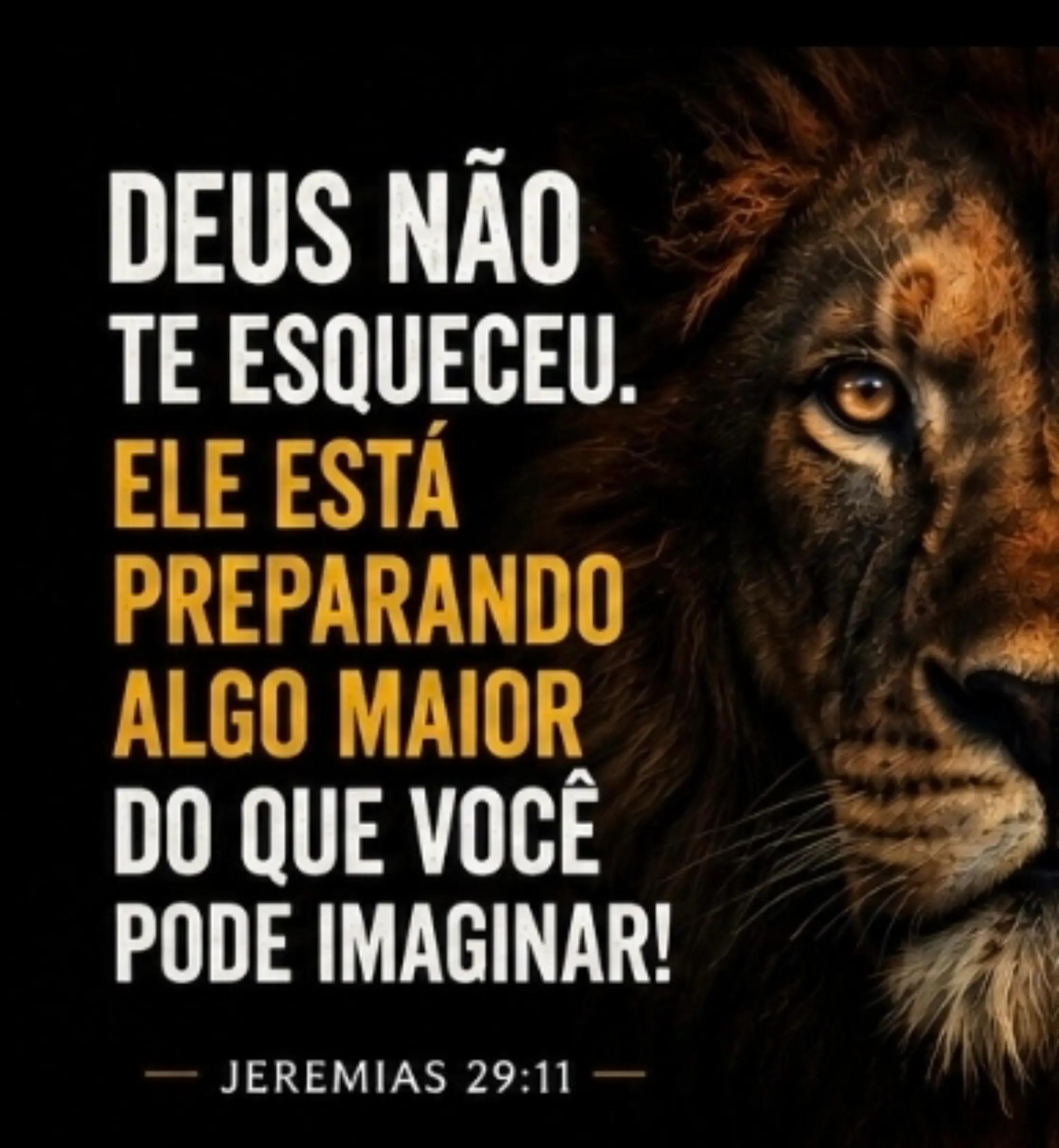 @marciabrasil24