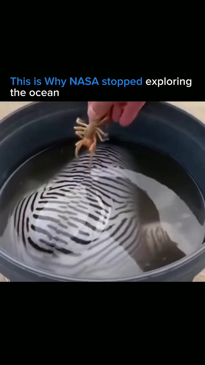 @NEXTSAUCE (ALL CONTENT)