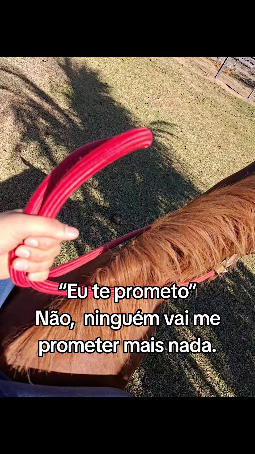 @𝑱𝒐𝒔𝒊 𝑺𝒐𝒖𝒛𝒂 🤠🤎