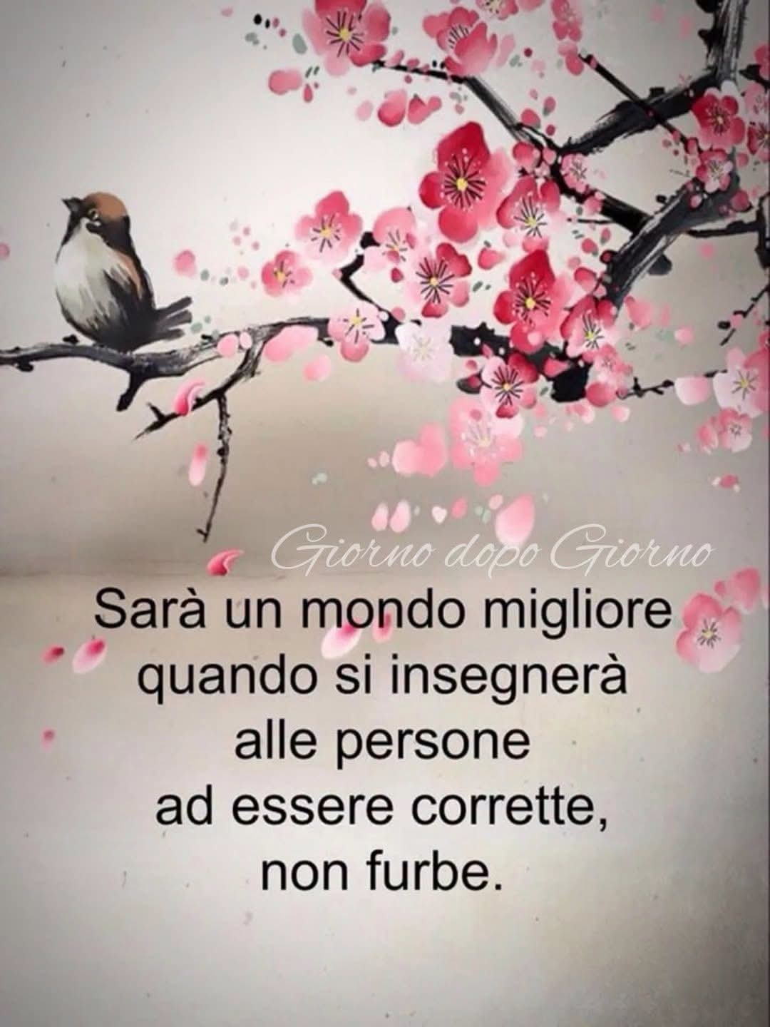 @caterinanicastro31