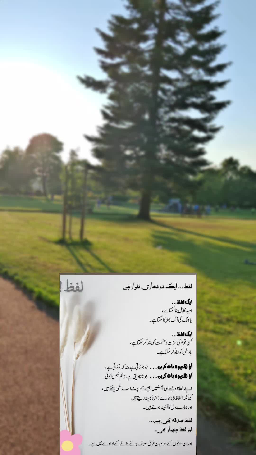 @Jabeen1786
