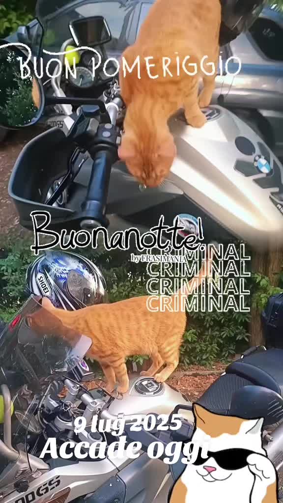 @salvobiker💯🏍️❤️🏍️💯imola