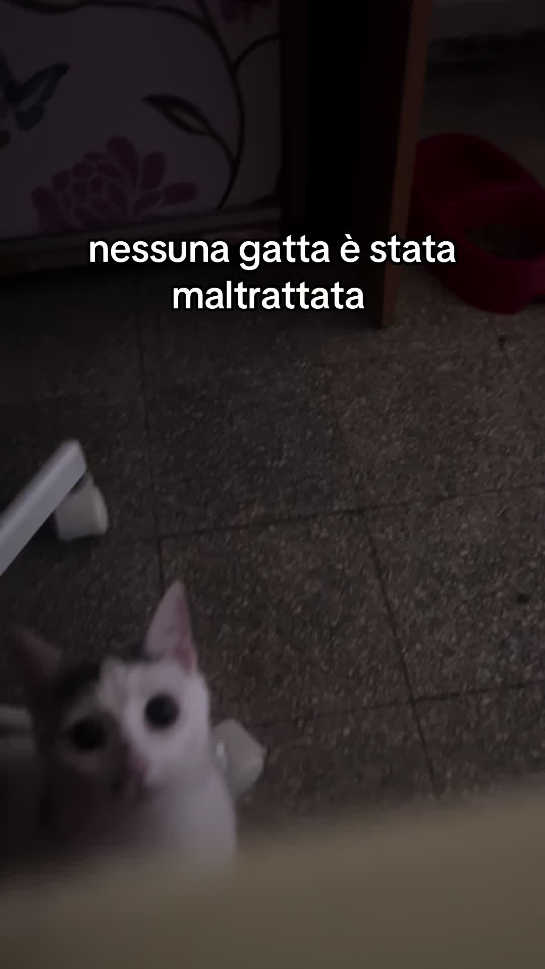 @💘𝒹𝑒𝓃𝓎_𝑒_𝒶𝓁𝑒𝟢𝟥💘