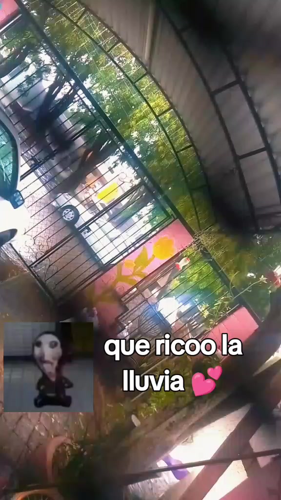@stream Minecraft😉