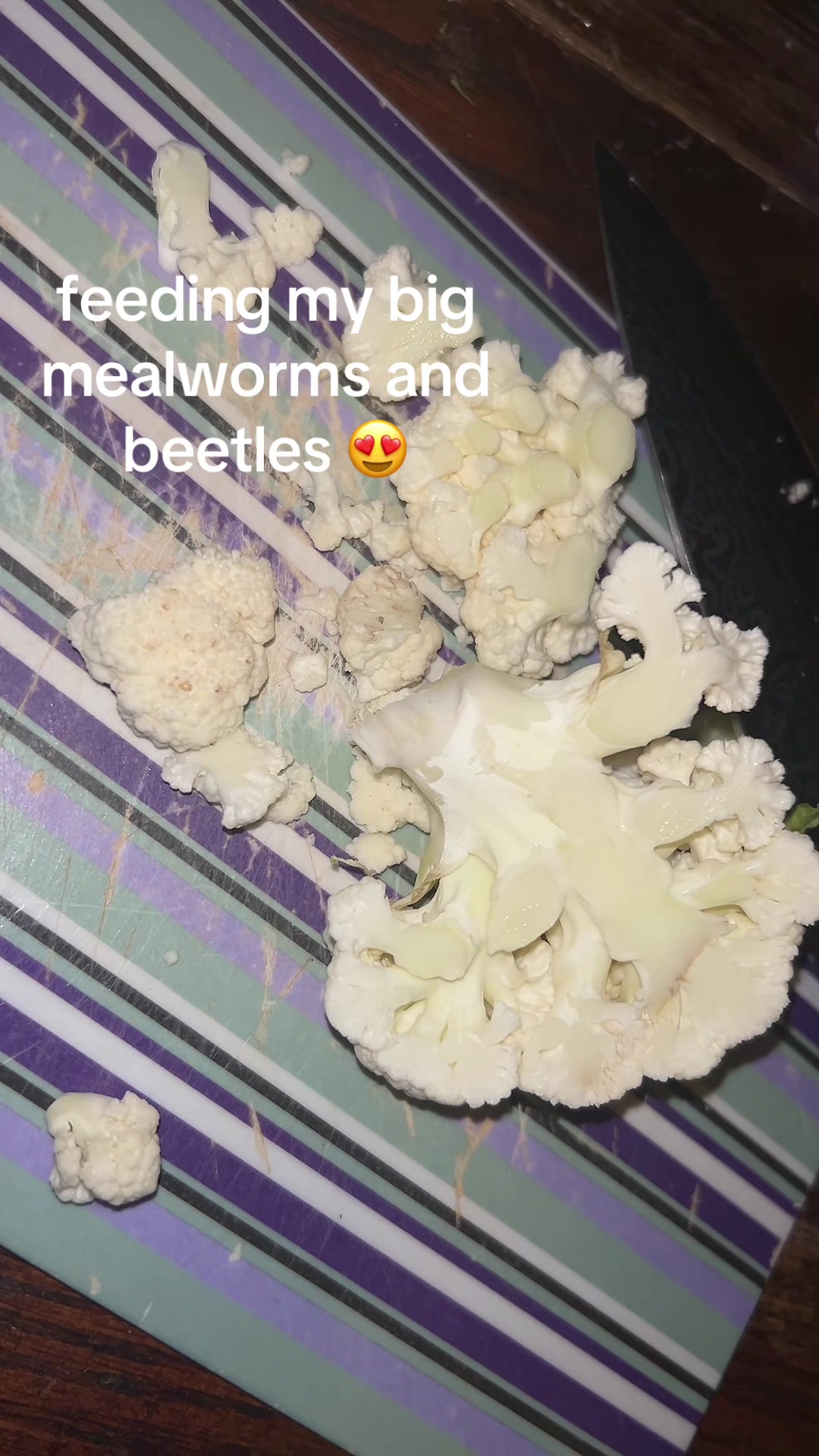 @💚
