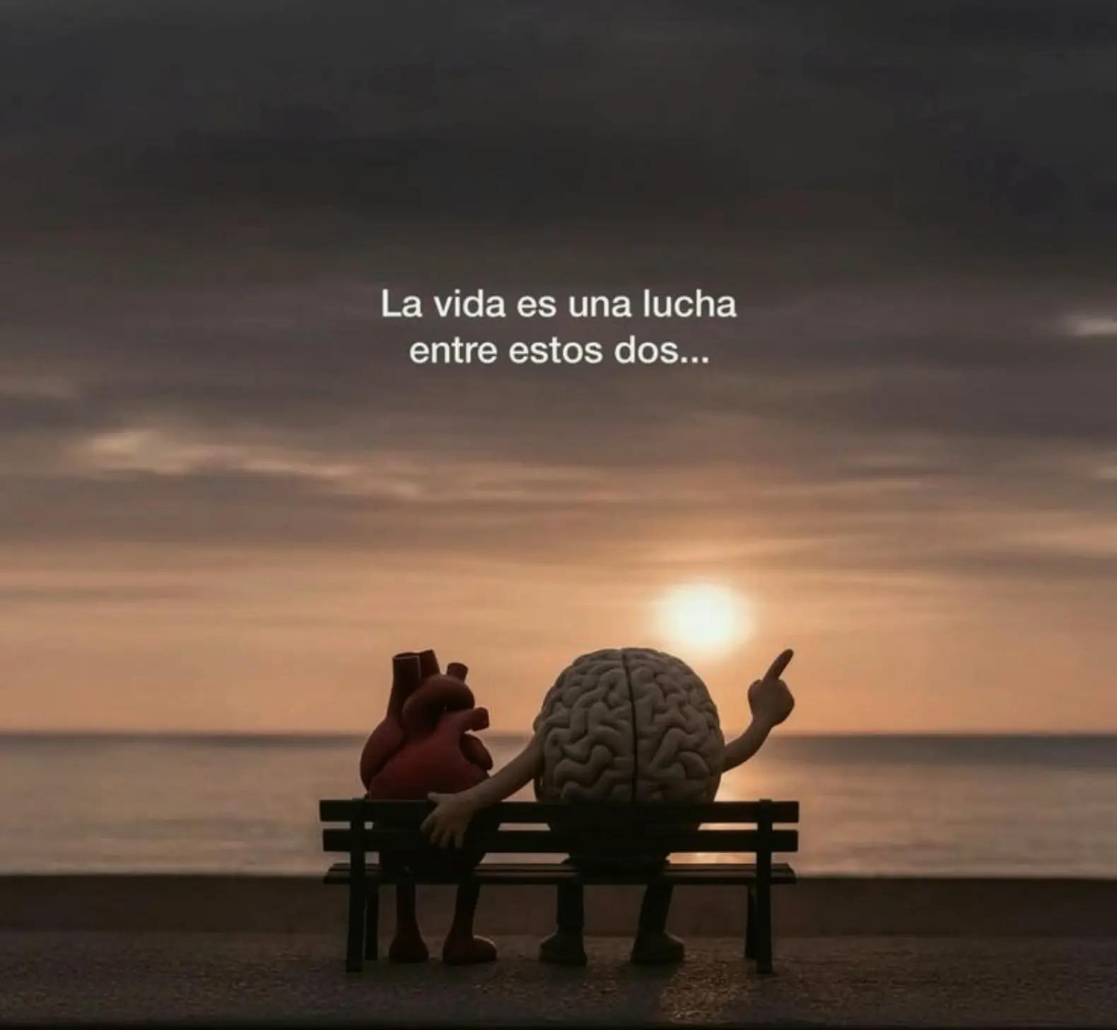 @Carito💗