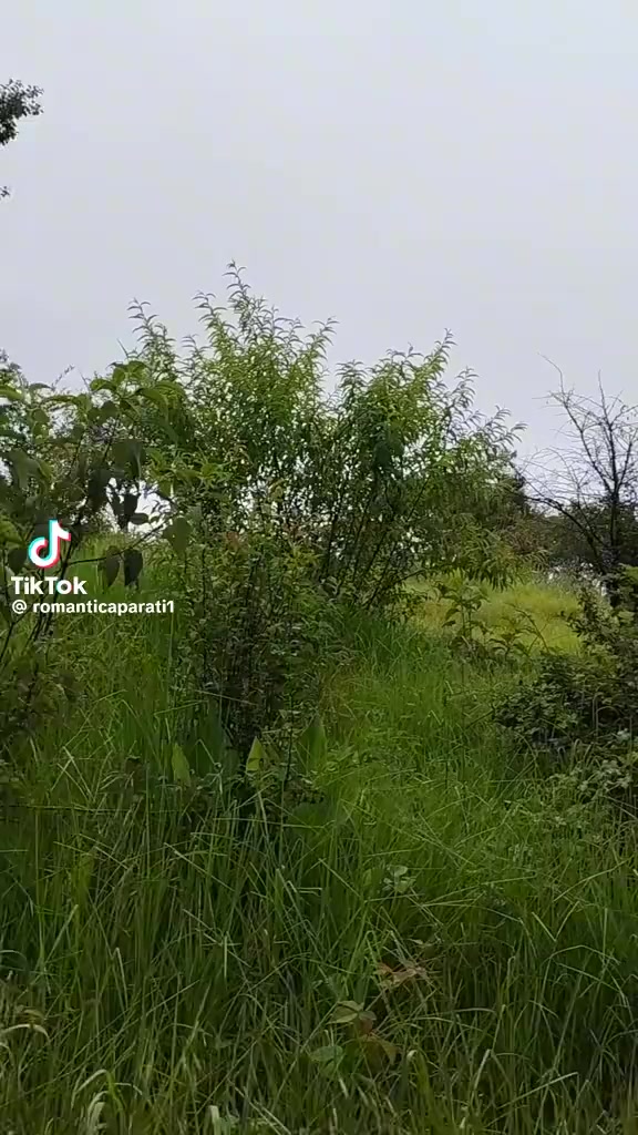 @Mario Rafael D&iacute;az