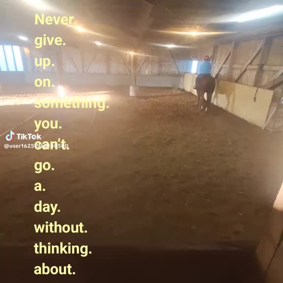 @🦄