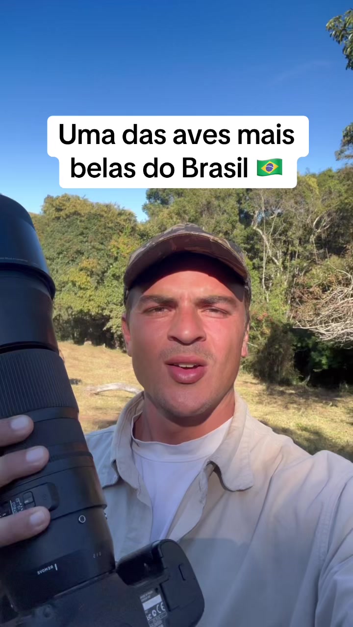 @Vin&iacute;cius K&ouml;hn P&aacute;ssaros