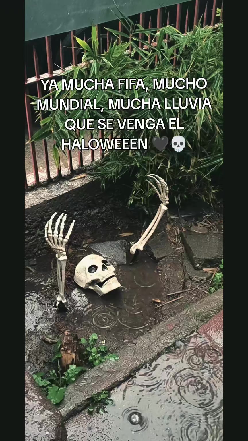@𝕾𝖊𝖓𝖘𝖊 𝖔𝖋 𝕯𝖊𝖈𝖆𝖞 🥀