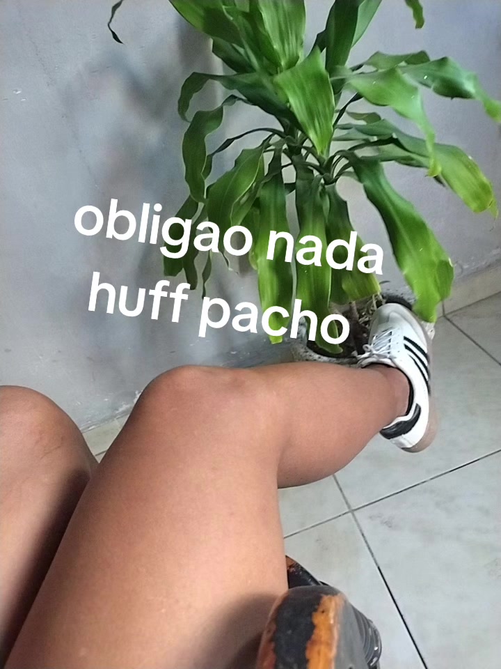 @charito rodriguez