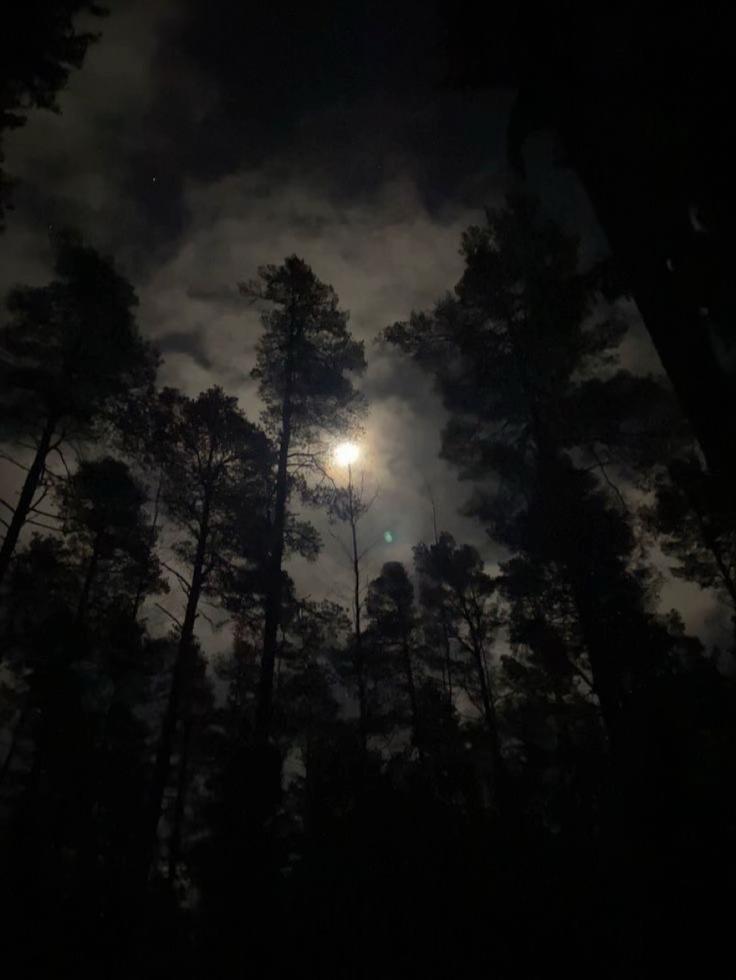 @༉‧₊˚🕯️ ᭙ 🖤❀༉‧₊