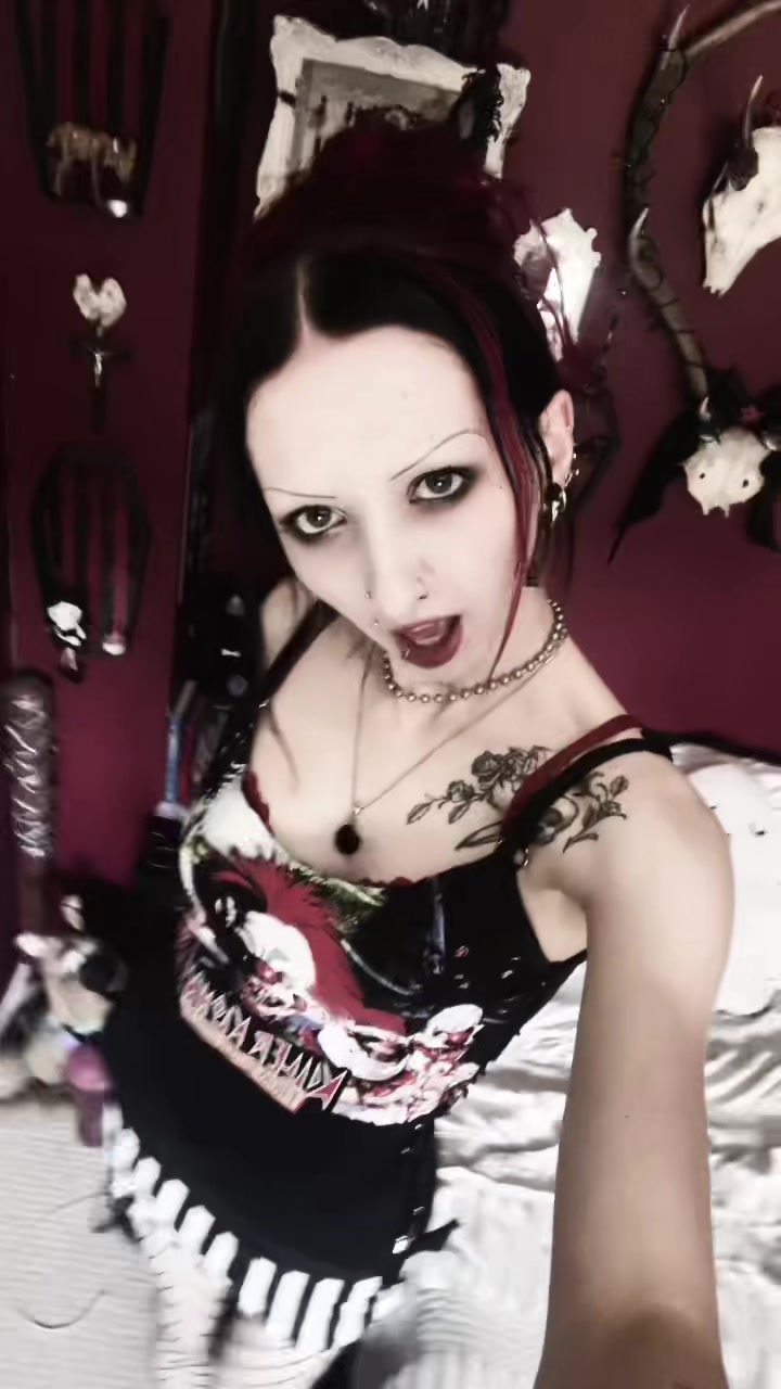 @🕸️ Molly 🕸️