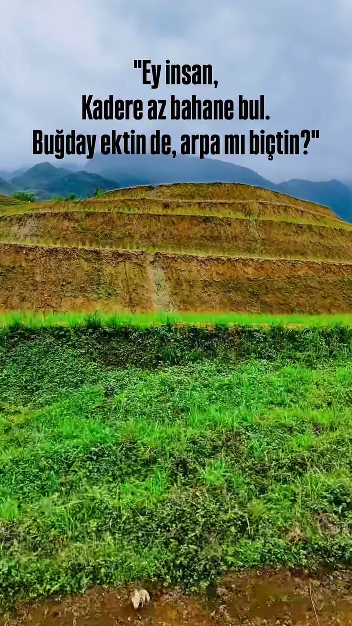 @B&uuml;lent ERKUŞ