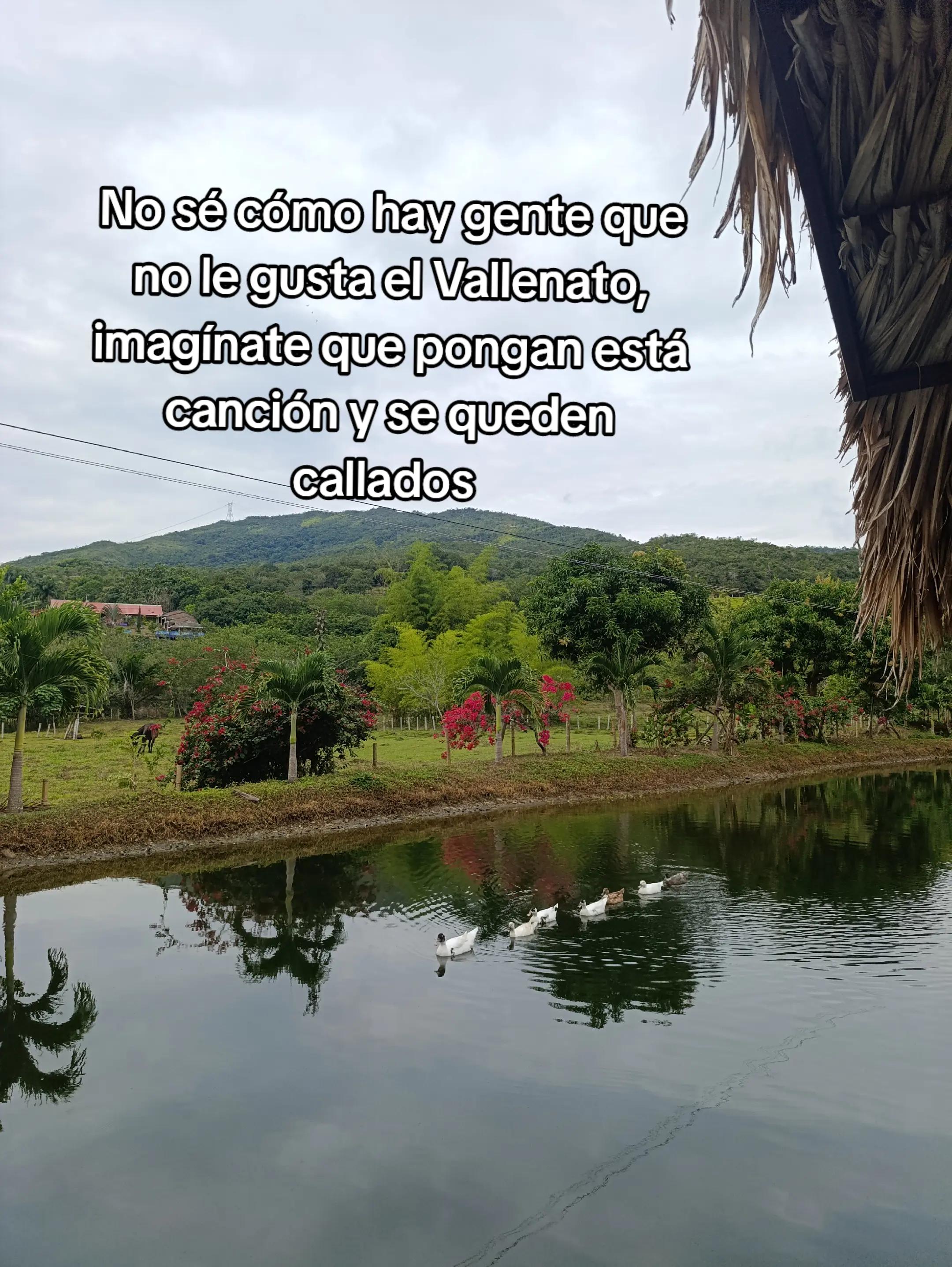 @Martha Lucia Dussan Triana