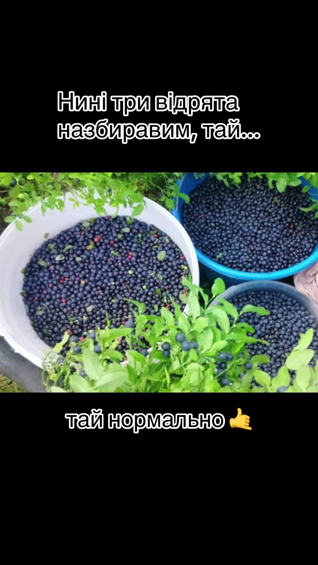 @☦︎Anatolii☦︎