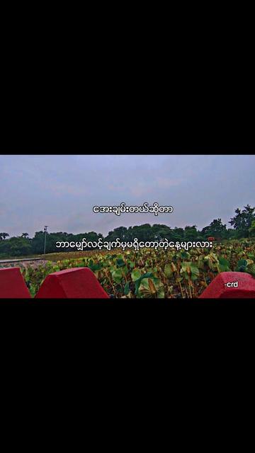 @ငဒူ