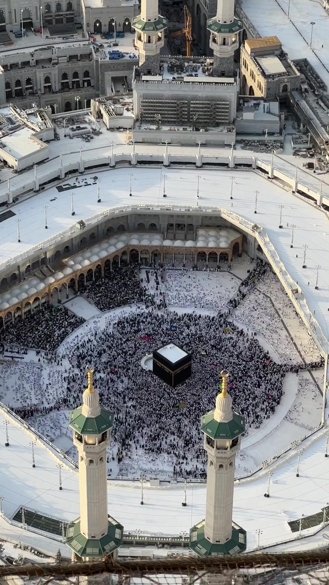 @احمد